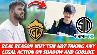Why TSM not taking legal action against Shadow and Godlike