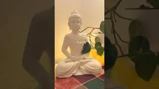 Best Buddha idol find