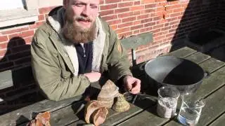 Fyrsvamp