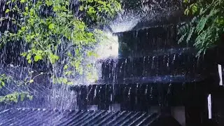 Instant Deep Sleep with Rain and Thunder Sounds | ASMR for Insomnia Relief ⛈️