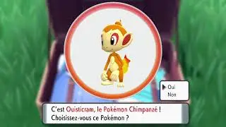 etourmi shiny!