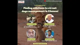 Citizen Matters Chennai Webinar - Finding solution to street dog management in Chennai