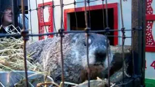 Buckeye Chuck Predicts Spring from Marion, Ohio