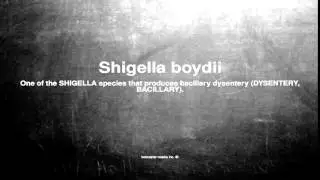 Medical vocabulary: What does Shigella boydii mean