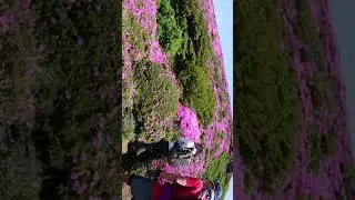 くじゅう連山 平治岳