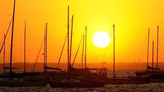 Record heat gripped Australia in 2019