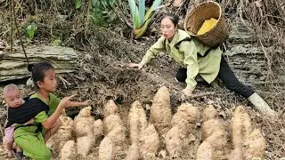 Life of a single mother and daughter harvest yam bring to market to sell | Tương Thị Mai