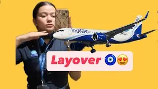 Life of a cabin crew✈️💙 #cabinecrew #indigocrew #indigoairlines #cabincrew