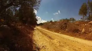 Honda Pcx 125 off road (Red bull Parody)