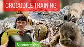 Crocodile training!!