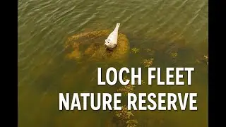 Loch Fleet | The Best Place to See Seals in the Scottish Highlands? - E03