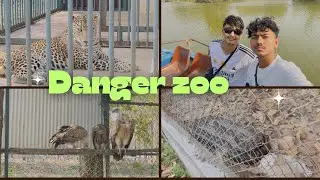Jamunkhadi zoo ma danger danger animal saga vayo encounter