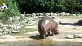 This Is Priceless