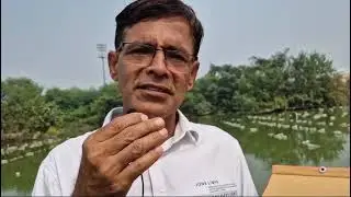 FRESHWATER PEARL CULTURE ASHOK MANWANI / KULANJAN DUBEY MANWANI 9271282561 INDIAN PEARL CULTURE A