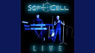 Torch (Live 2003)