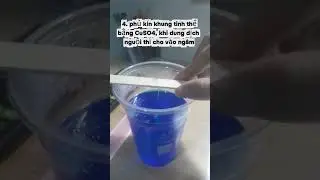 The project of the chemical