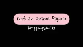 Not an anime figure