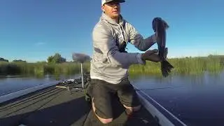 Clear lake TOP WATER ACTION!!!!