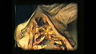 Rodney's ArtMusic Volume 41 (1992 BARTOK GUITARSPLAT 'Live')