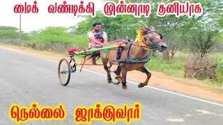 பெரிய குதிரை பந்தயம் மணக்கரை பந்தயம் 12-02-2025
