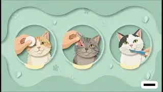 Cat lover must watch 💞_