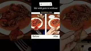 Life With Pets VS Without |vividview_tube #dog #dogbreed #ytshorts is going viral