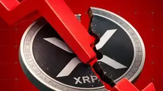 XRP EMERGENCY !!!!!