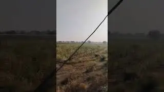 Selu Maharashtra #song #music