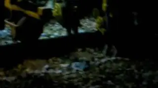 Atacadeira