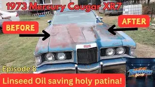 Episode 8 - Linseed Oil Saving Patina - 1973 Mercury Cougar XR7