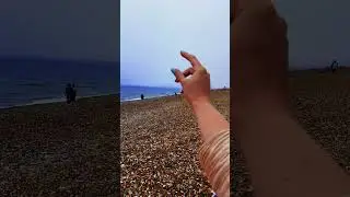 #brighton #travel #uk #england #flower #sea #tourism#путешествия #англия #великобритания