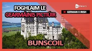 Foghlaim le Gearm&aacute;inis Picti&uacute;ir | Focal Gearm&aacute;inis Bunscoil | Golearn