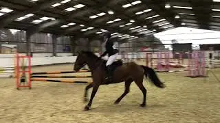 BCA 80CM THAMES VALLEY RIDING CLUB