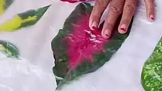 SISKA UAS ECOPRINT 
