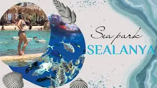 Прикольный sea park SEAlanya дли любования рыбками ❤️