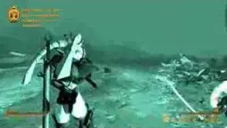 Fallout: New Vegas AWoP