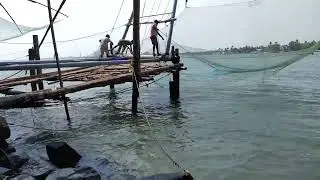 Chinese Fishing Nets in operation, Fort Kochi