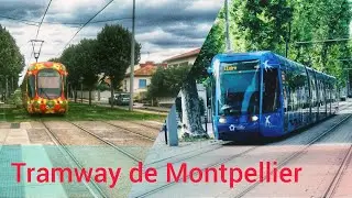 Tramway in Montpellier | Public transport in Montpellier