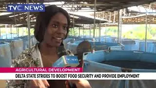 Delta State Strides To Boost Food Security, Provide  Employment