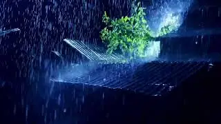 Very Heavy Rain on a Tin Roof to Sleep Immediately with Powerful Thunder Sounds Deep in the Forest