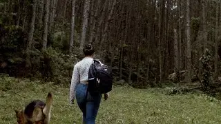 O que acontece quando você passa um dia inteiro sozinha na floresta | hiking vlog