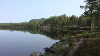 Renar vid H&auml;llsj&ouml;n, Dalarna