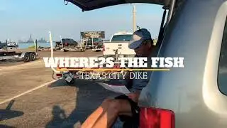 🐠 ТЕХАС-СИТИ-ДАЙК &bull; Boyd&rsquo;s One Stop
