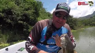 Experimenting with the New Googan Baits Rattlin Chunk