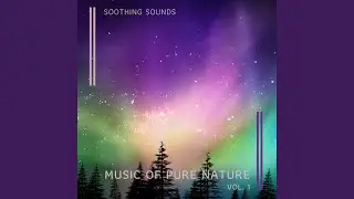 Sleepy Forest Music for Sleep pt. 1 (feat. Nature Of Sweden, Nature Radio 1 & Ambient Nature...