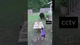 #funny#viral#animal #viral #trending #short