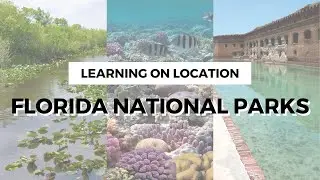 Florida National Parks | Must See & Do, Tips for Visiting, & More!