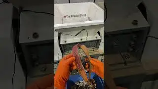 POV recording a purse and belt shredding video #POV #BTS #filming