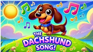Dog Song - Dachshund Dash - Songs For Kids