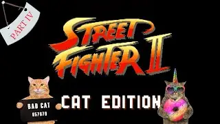 Street Fighter: Cat Edition Part 4 - Bemoner #cats